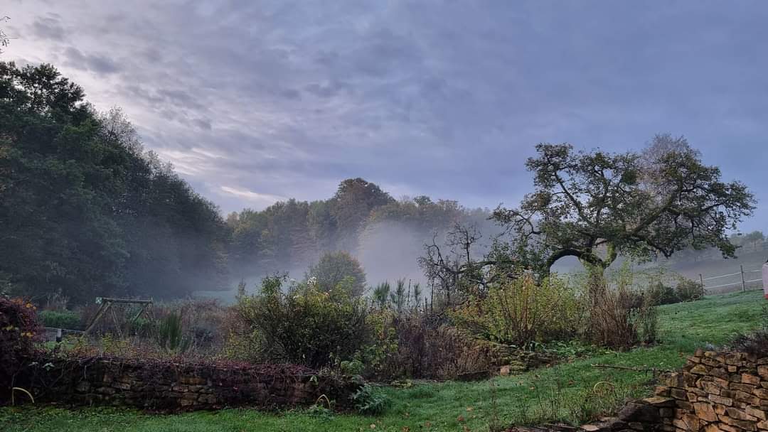 My Reiki initiation at Orval in the midst of the beauty and silence of nature.