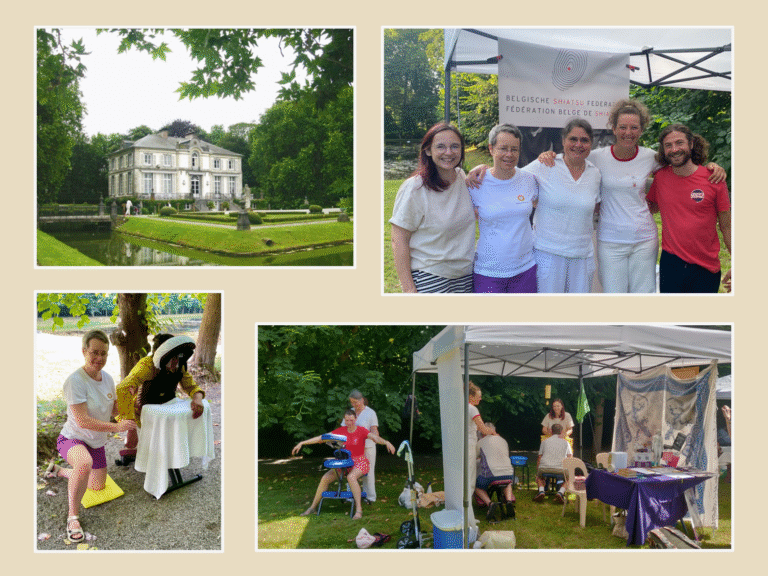 Sterrebeek Park Festivities